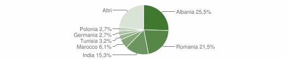 Grafico cittadinanza stranieri - Bucine 2012