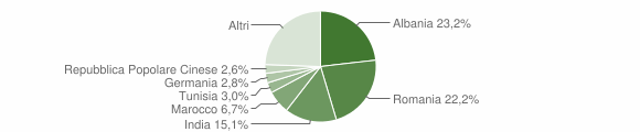Grafico cittadinanza stranieri - Bucine 2013