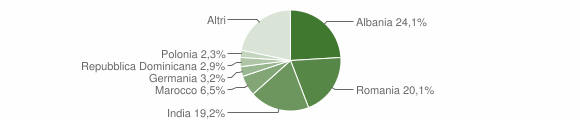 Grafico cittadinanza stranieri - Bucine 2015