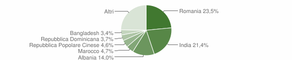 Grafico cittadinanza stranieri - Bucine 2020