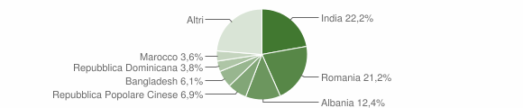 Grafico cittadinanza stranieri - Bucine 2021
