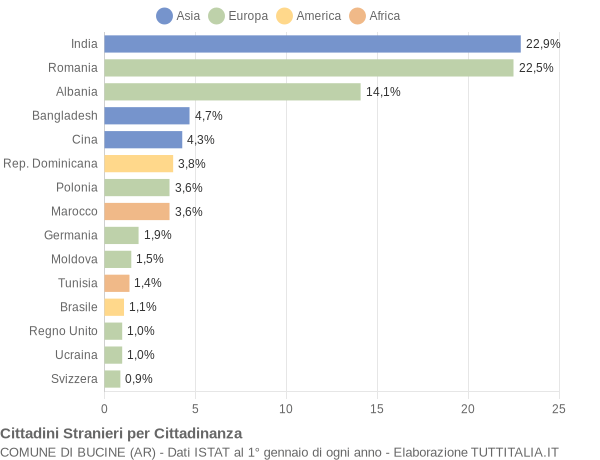 Grafico cittadinanza stranieri - Bucine 2022