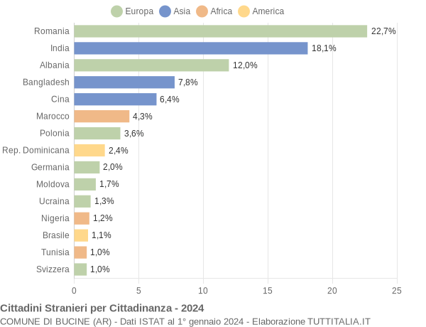 Grafico cittadinanza stranieri - Bucine 2024