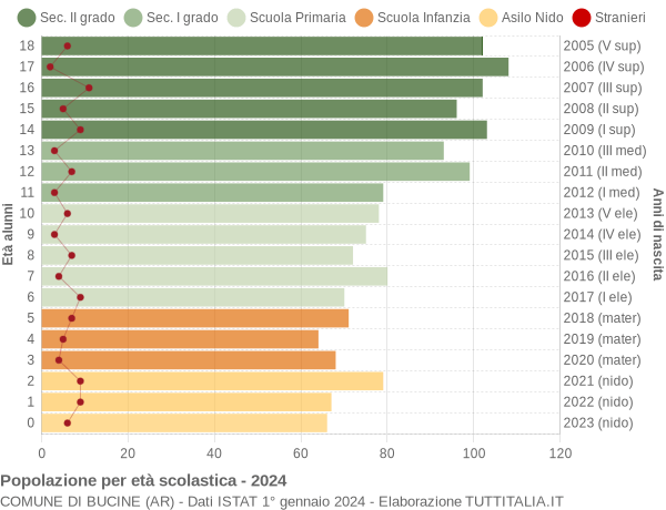 Grafico Popolazione in età scolastica - Bucine 2024