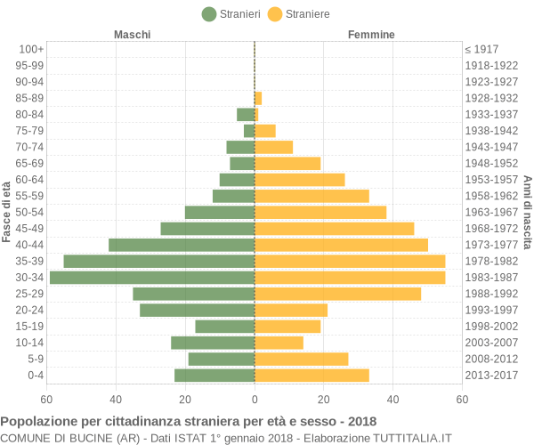 Grafico cittadini stranieri - Bucine 2018