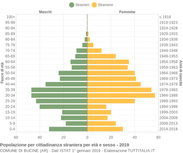 Grafico cittadini stranieri - Bucine 2019