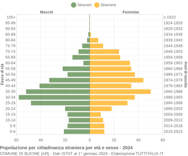 Grafico cittadini stranieri - Bucine 2024