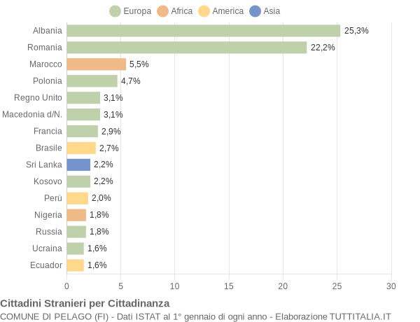 Grafico cittadinanza stranieri - Pelago 2014