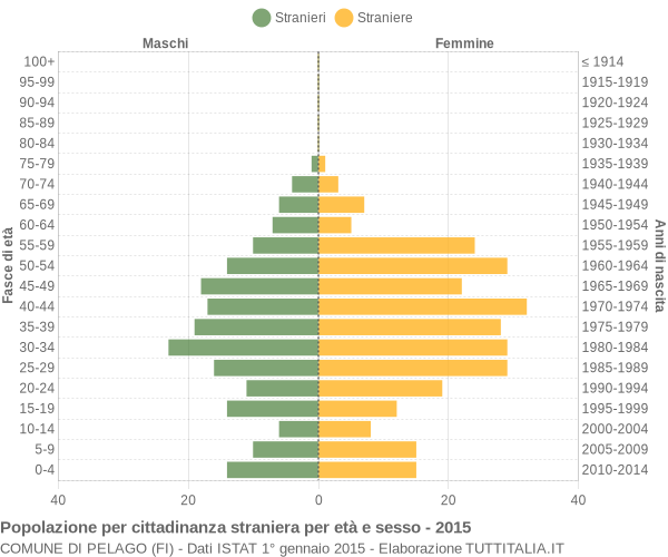 Grafico cittadini stranieri - Pelago 2015