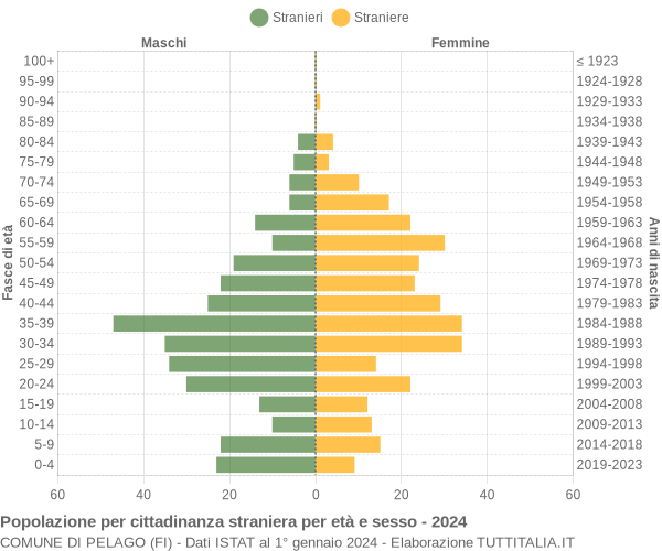 Grafico cittadini stranieri - Pelago 2024