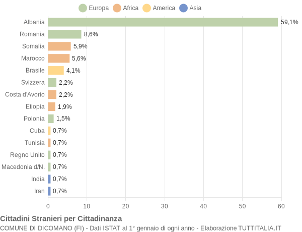 Grafico cittadinanza stranieri - Dicomano 2004