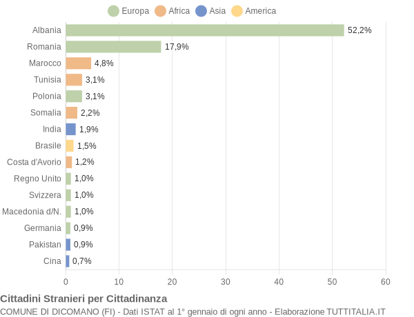 Grafico cittadinanza stranieri - Dicomano 2010