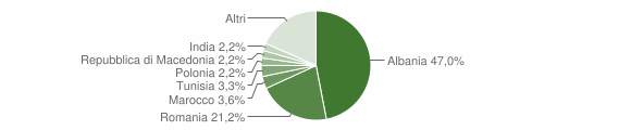 Grafico cittadinanza stranieri - Dicomano 2013