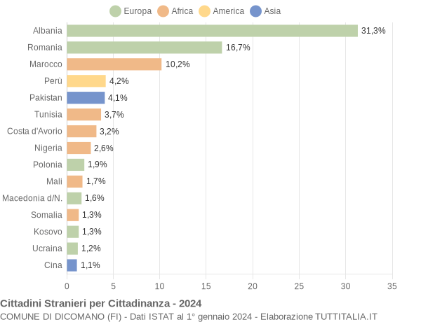 Grafico cittadinanza stranieri - Dicomano 2024