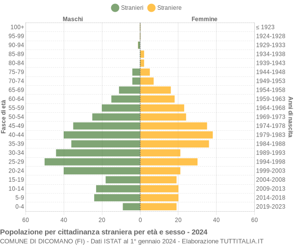 Grafico cittadini stranieri - Dicomano 2024