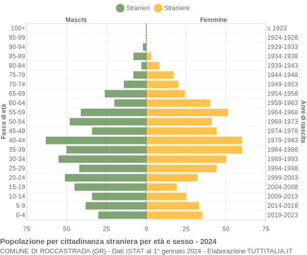 Grafico cittadini stranieri - Roccastrada 2024