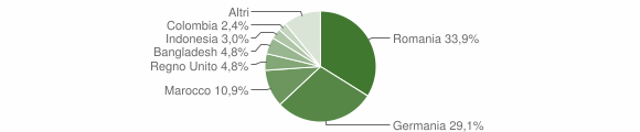 Grafico cittadinanza stranieri - Chiusi della Verna 2011