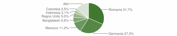 Grafico cittadinanza stranieri - Chiusi della Verna 2013