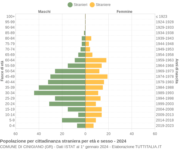 Grafico cittadini stranieri - Cinigiano 2024