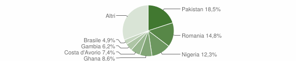 Grafico cittadinanza stranieri - Fabbriche di Vergemoli 2017