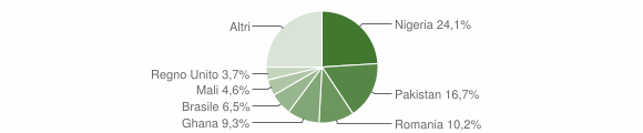 Grafico cittadinanza stranieri - Fabbriche di Vergemoli 2020