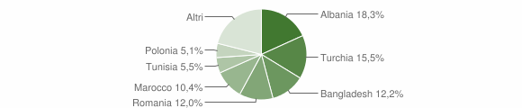 Grafico cittadinanza stranieri - Arcidosso 2015