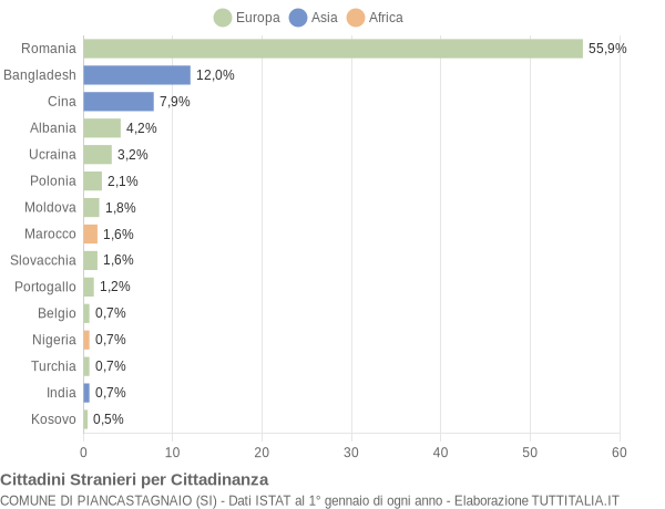 Grafico cittadinanza stranieri - Piancastagnaio 2020