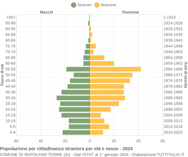 Grafico cittadini stranieri - Rapolano Terme 2024