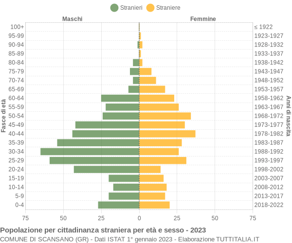 Grafico cittadini stranieri - Scansano 2023