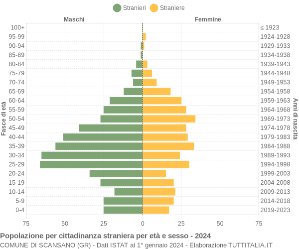 Grafico cittadini stranieri - Scansano 2024