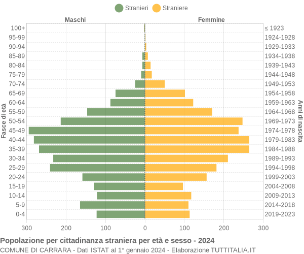 Grafico cittadini stranieri - Carrara 2024