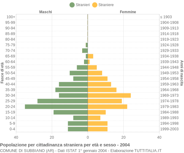 Grafico cittadini stranieri - Subbiano 2004