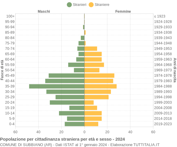 Grafico cittadini stranieri - Subbiano 2024