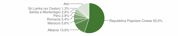 Grafico cittadinanza stranieri - Campi Bisenzio 2005