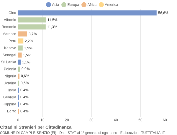 Grafico cittadinanza stranieri - Campi Bisenzio 2018