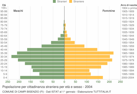 Grafico cittadini stranieri - Campi Bisenzio 2004