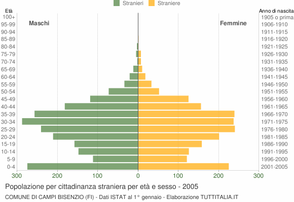 Grafico cittadini stranieri - Campi Bisenzio 2005