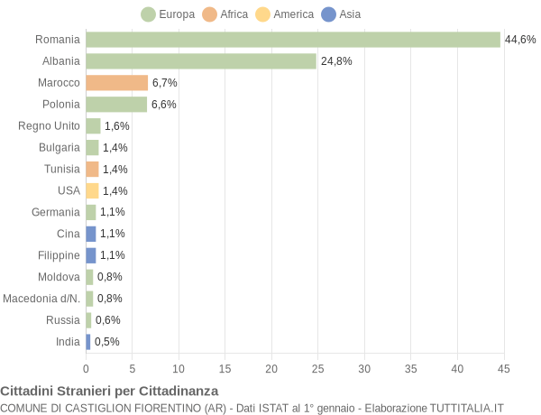 Grafico cittadinanza stranieri - Castiglion Fiorentino 2008