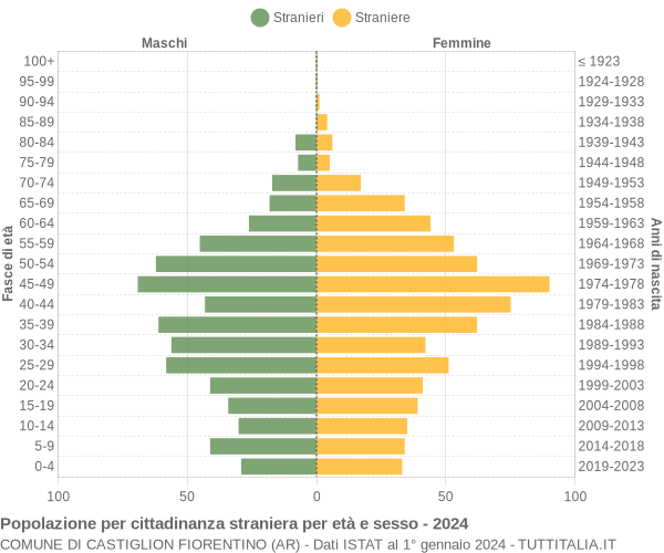 Grafico cittadini stranieri - Castiglion Fiorentino 2024