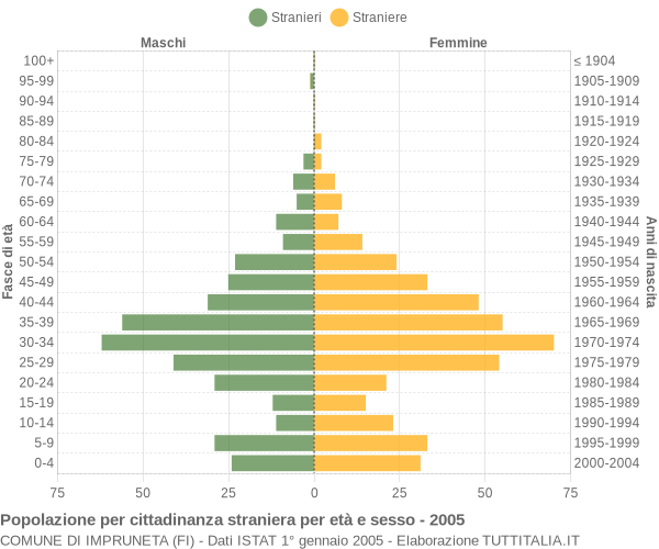 Grafico cittadini stranieri - Impruneta 2005