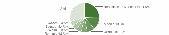 Grafico cittadinanza stranieri - Radicondoli 2009