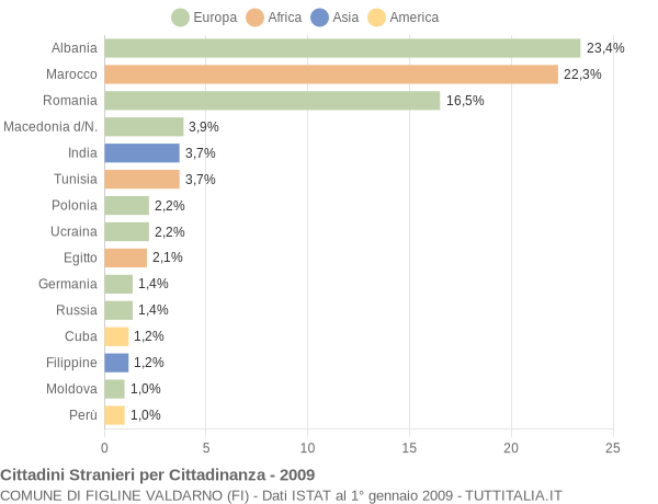 Grafico cittadinanza stranieri - Figline Valdarno 2009