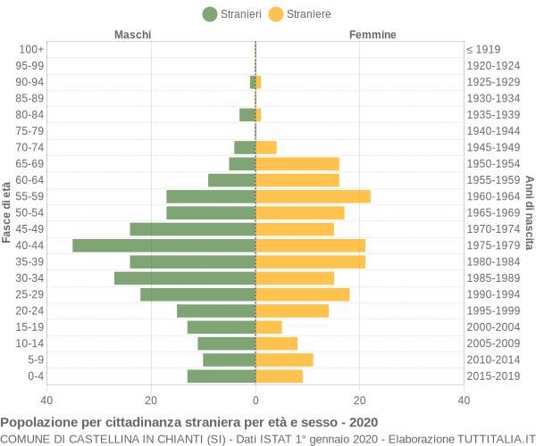 Grafico cittadini stranieri - Castellina in Chianti 2020