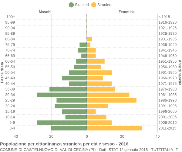 Grafico cittadini stranieri - Castelnuovo di Val di Cecina 2016