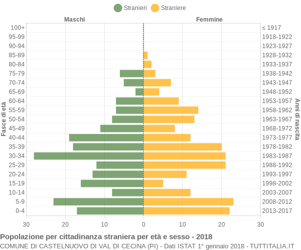 Grafico cittadini stranieri - Castelnuovo di Val di Cecina 2018