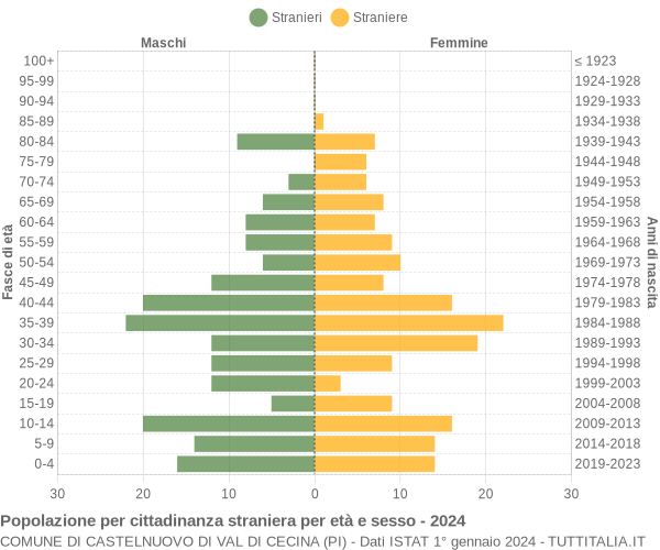 Grafico cittadini stranieri - Castelnuovo di Val di Cecina 2024