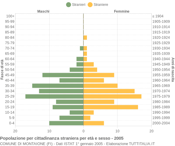 Grafico cittadini stranieri - Montaione 2005
