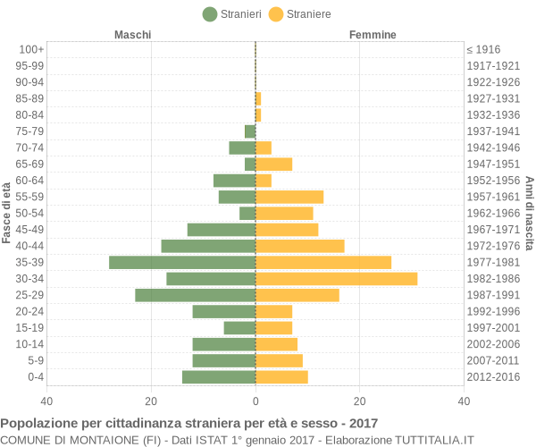 Grafico cittadini stranieri - Montaione 2017