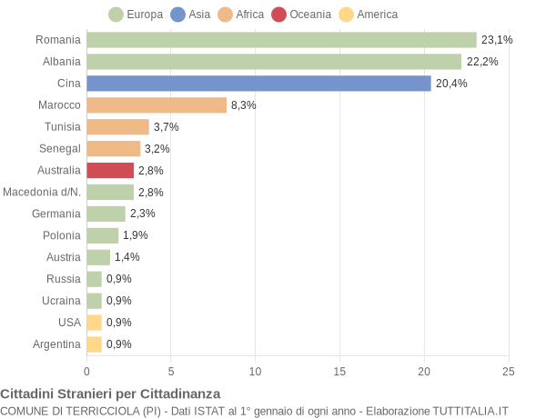 Grafico cittadinanza stranieri - Terricciola 2008