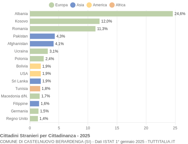 Grafico cittadinanza stranieri - Castelnuovo Berardenga 2025